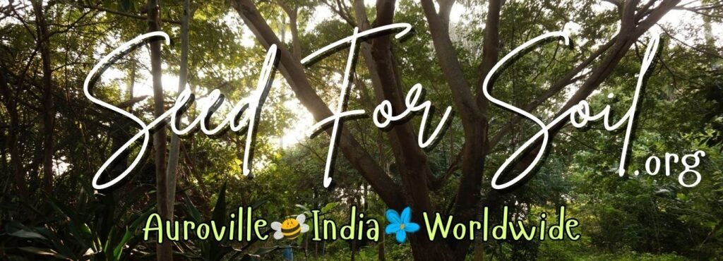 seed for soil seed for soil