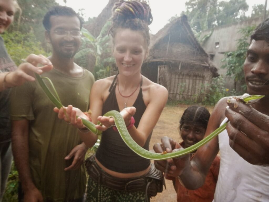 Home dscn15112443486134897789677.jpg