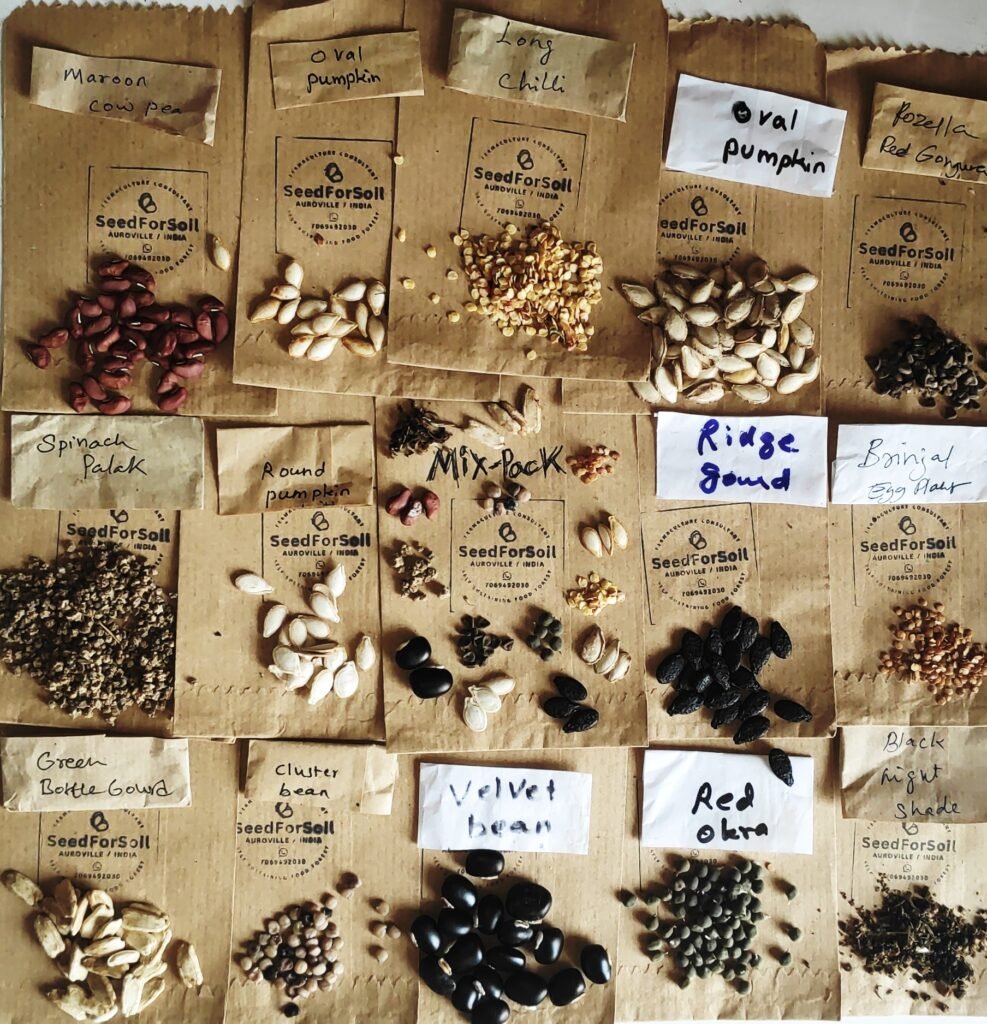 img 20251209 090114 img 20251209 090114