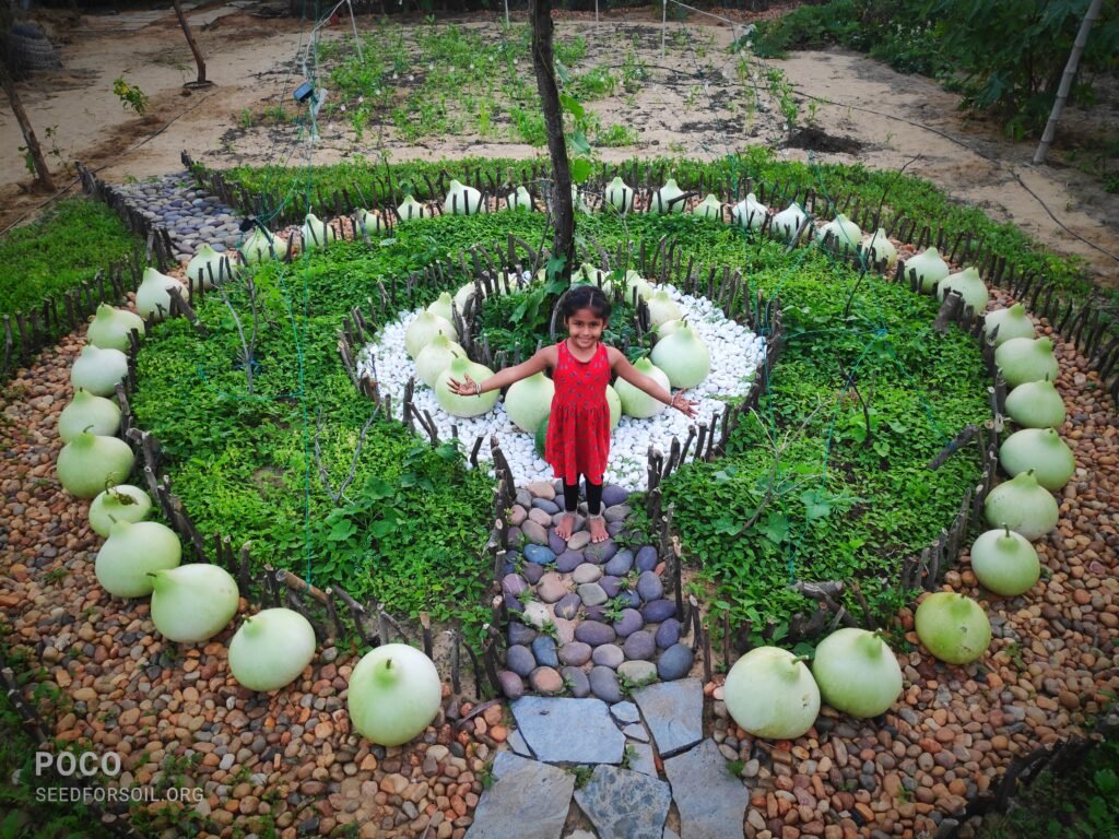 img 20260128 180418 img 20260128 180418