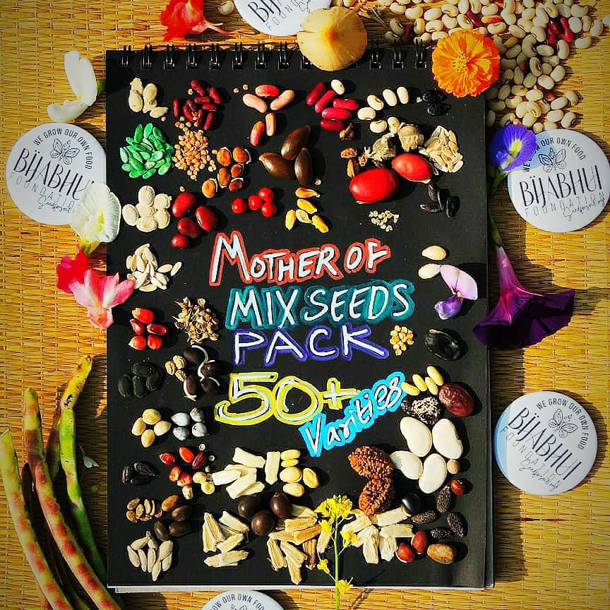 img 20260218 063945 img 20260218 063945